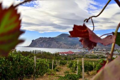 Прикрепленное изображение: _CSC7474 (Копировать).JPG